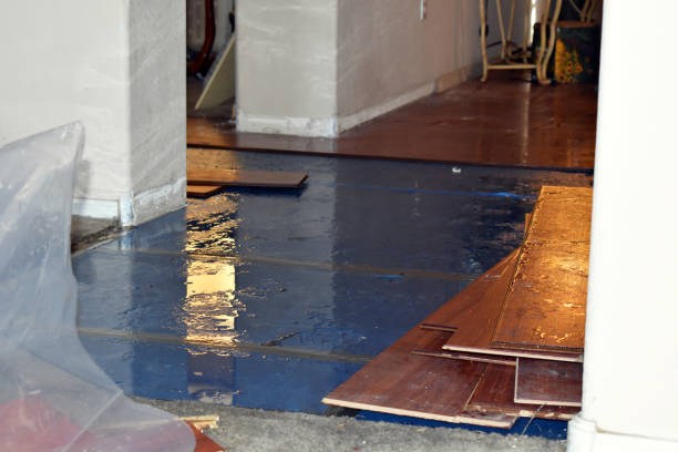 Professional Basement Water Removal technician working in Harcourt, IA